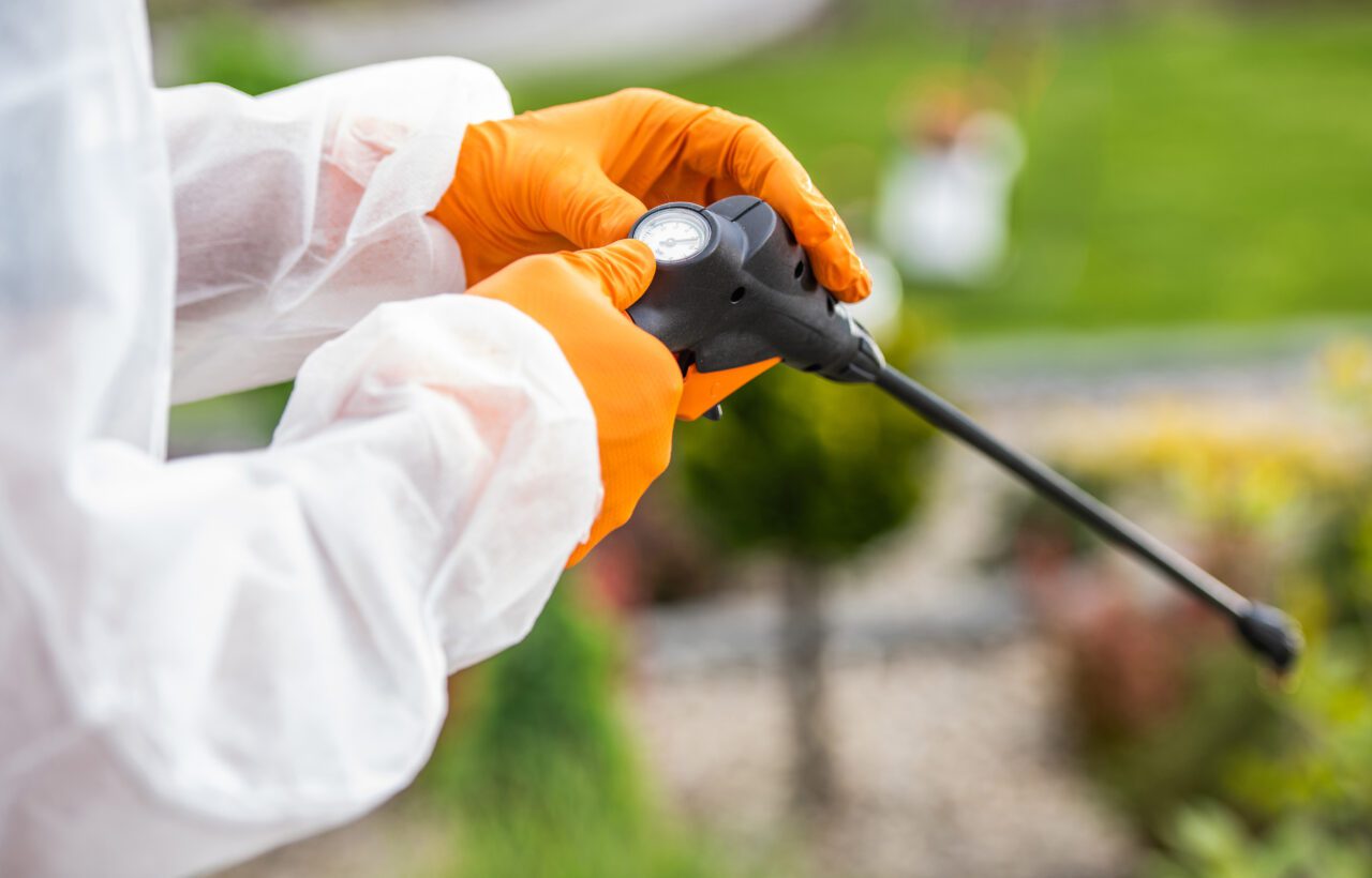 PDCA Pest Control Professional